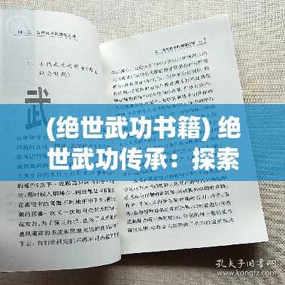 (绝世武功书籍) 绝世武功传承：探索古代武术精粹与现代武学之巅峰融合