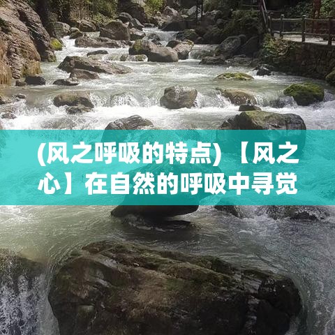 (风之呼吸的特点) 【风之心】在自然的呼吸中寻觉生命的奥秘：何以为风，何以为心？探索风的起源与影响